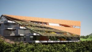 Winery Hotel in Portugal- Competition Entry