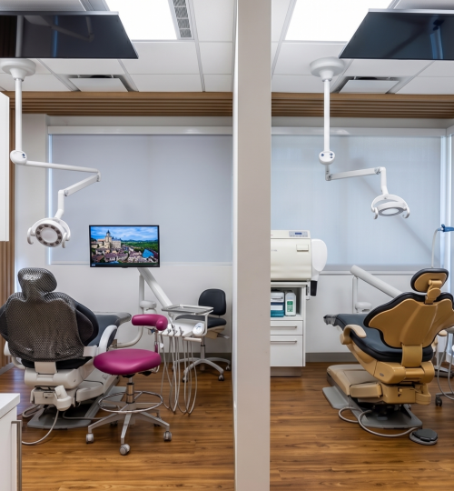 Prime Dental-1